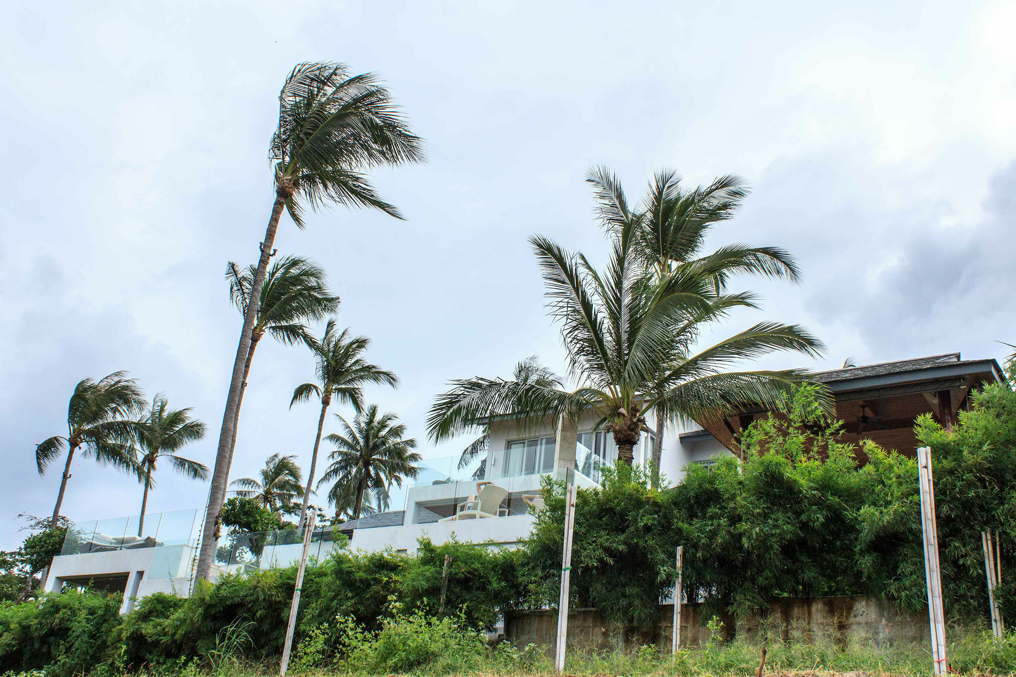 Coco-Mango Villa Bophut Dış mekan fotoğraf